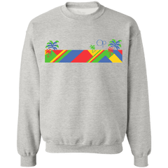 Color Bar Sweatshirt